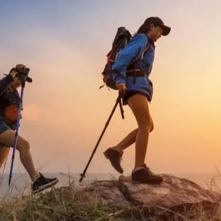 Restaurante Sostenible La Laguna Hotel