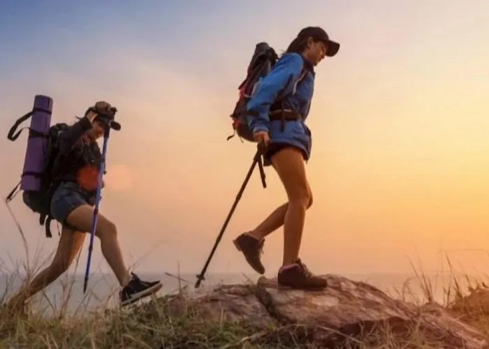 Restaurante Sostenible La Laguna מלון